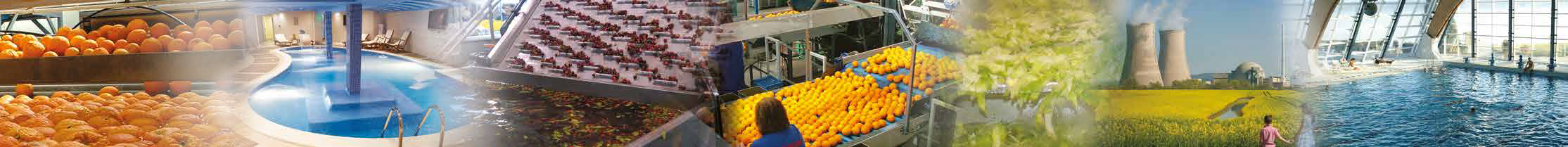 Applications DiaClean® : agroalimentaire, piscines, agriculture, wellness